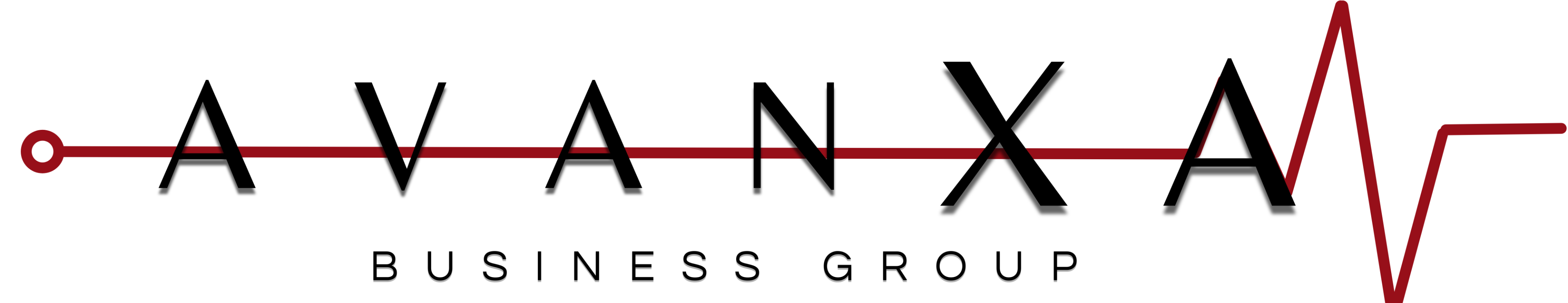 Avanxa Business Group 1